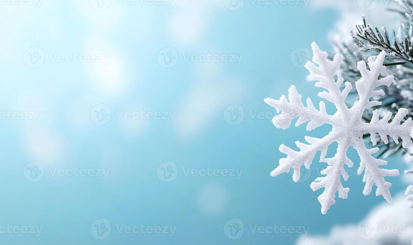 A snowflake is on top of a fir tree branch photo