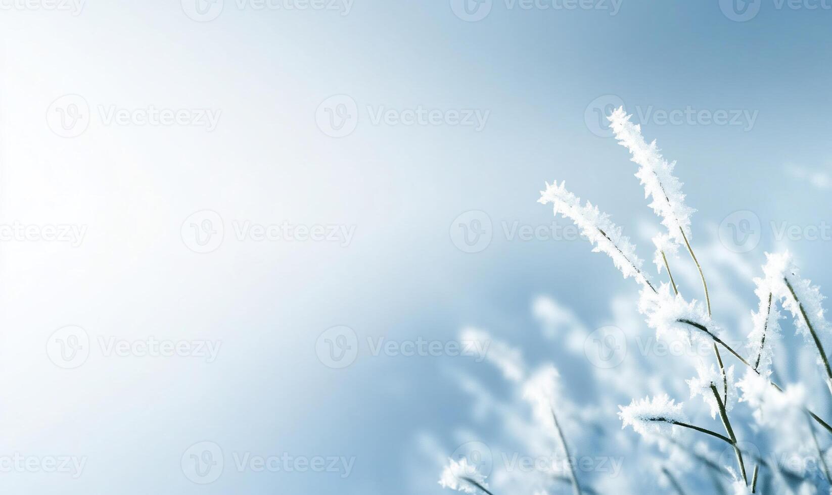 Frosty grass and blue sky background photo