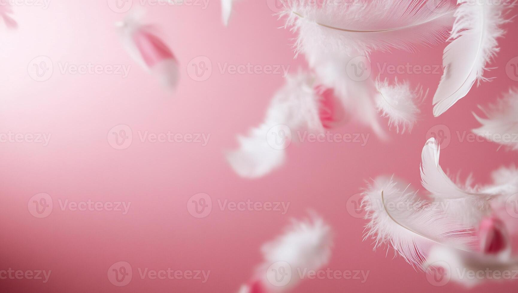 Soft white feathers floating against a pink background. photo