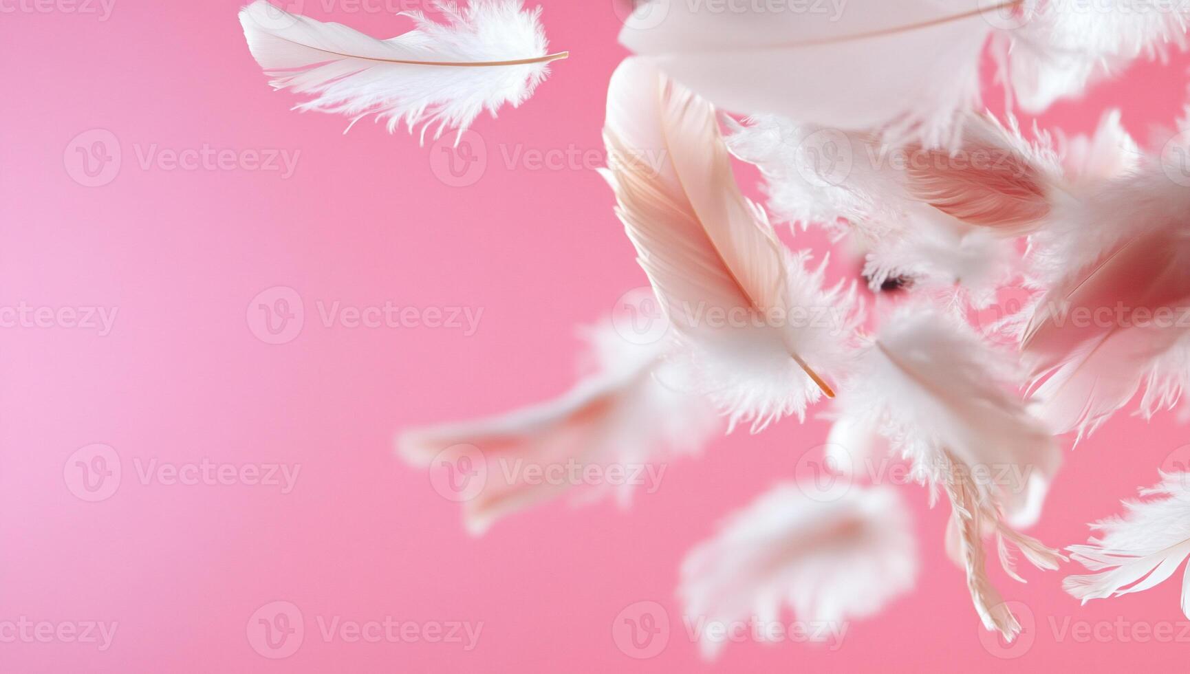Soft pink feathers floating against a pastel background. photo
