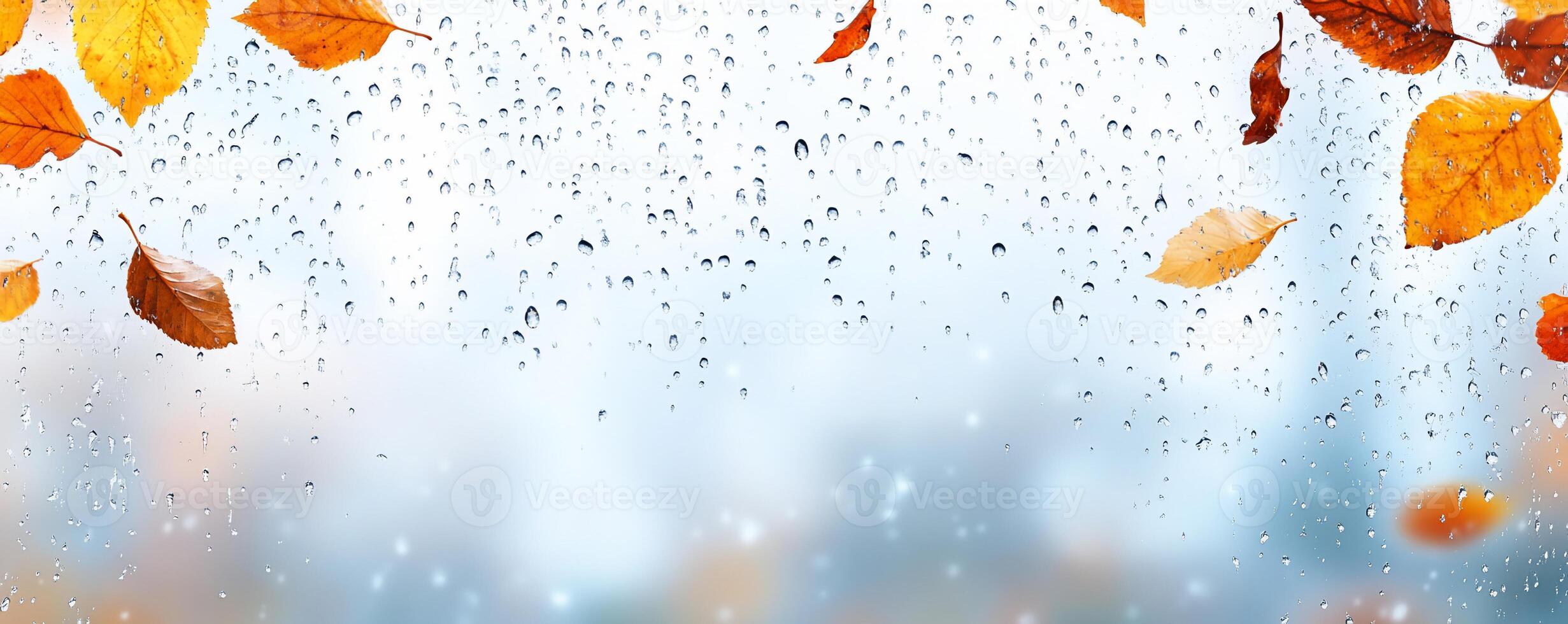 Autumn leaves on a window with raindrops photo