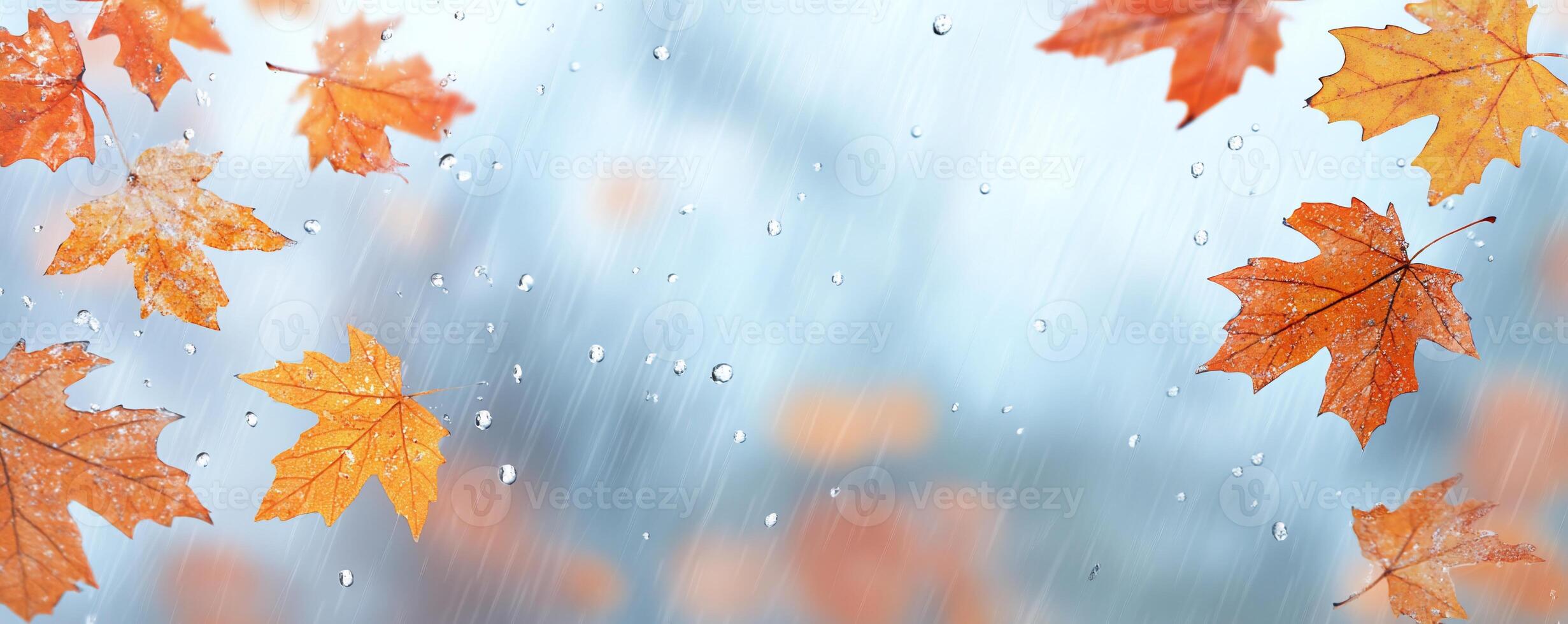 Autumn leaves falling in the rain with a blurred background. photo