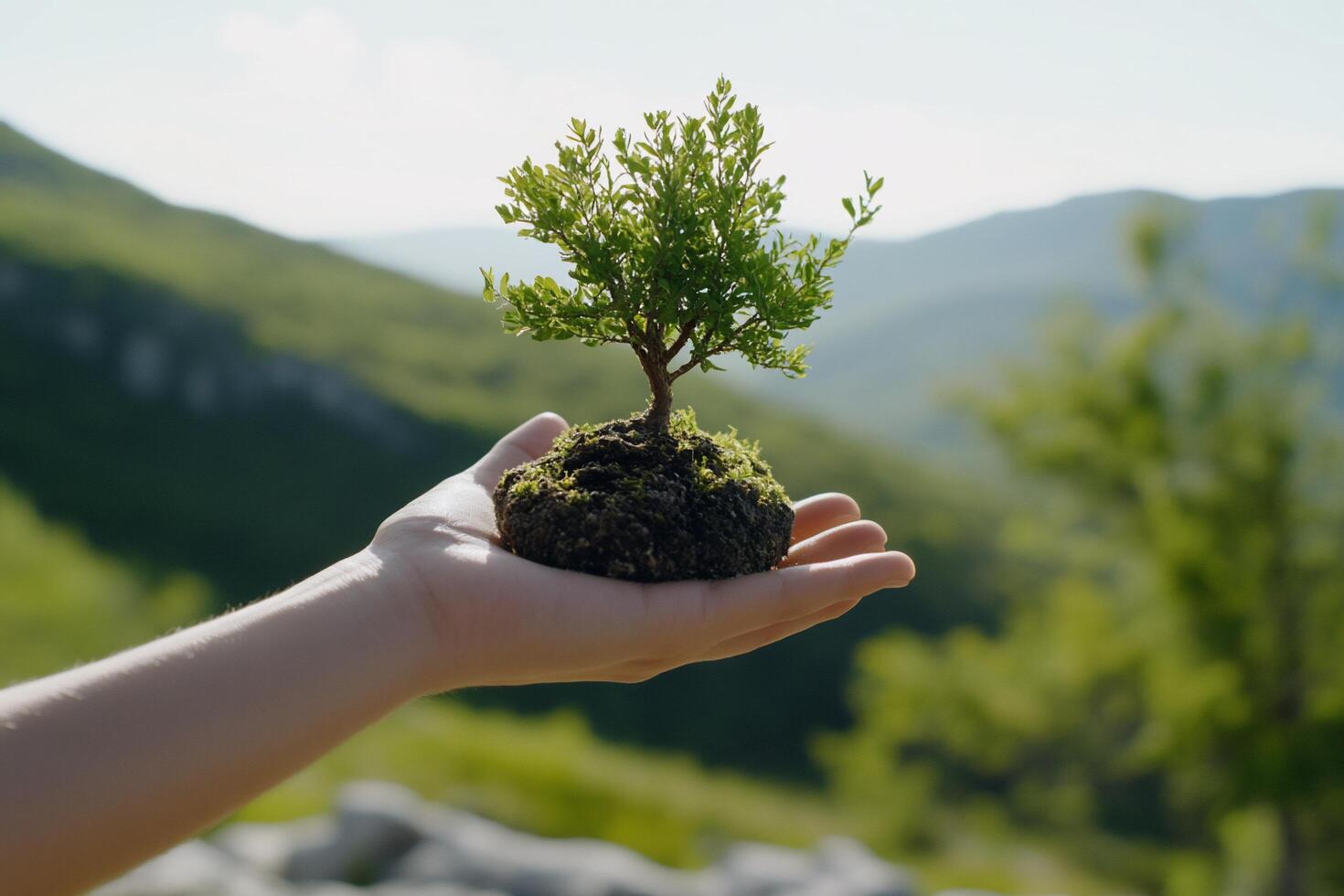A hand holds a small tree, symbolizing environmental care and growth. photo