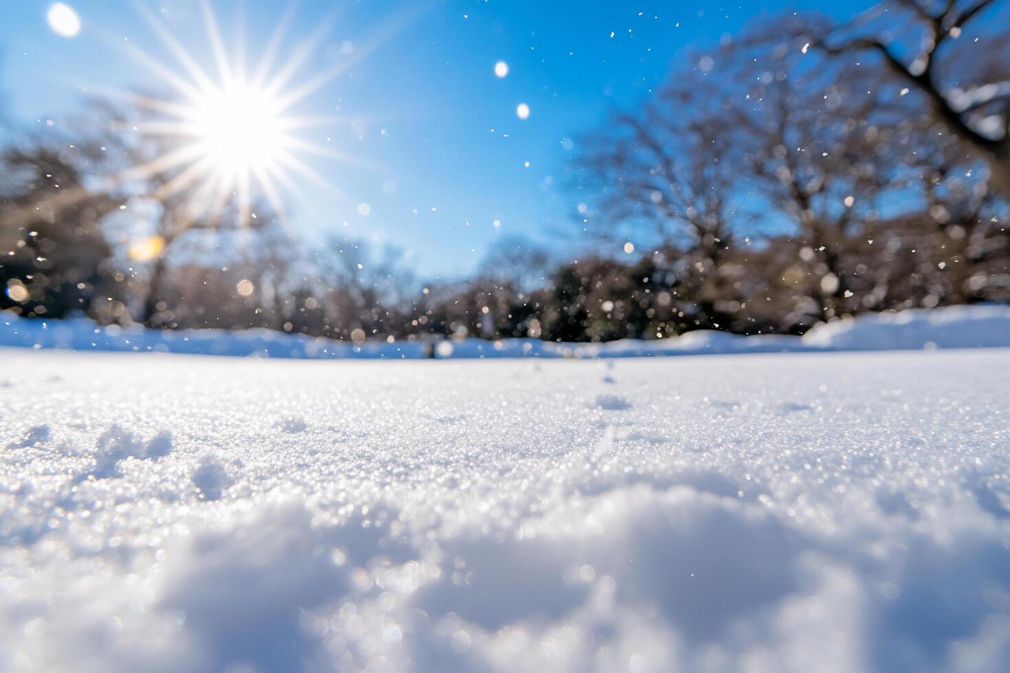 A snowy landscape under a bright sun, capturing a serene winter scene. photo