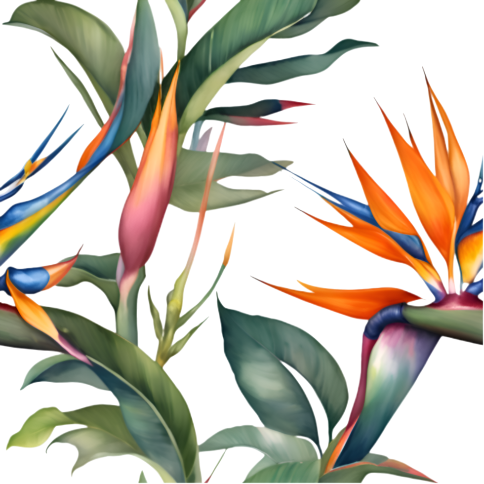 Exotic Botanical Bird of Paradise Illustration for Decoration. . png