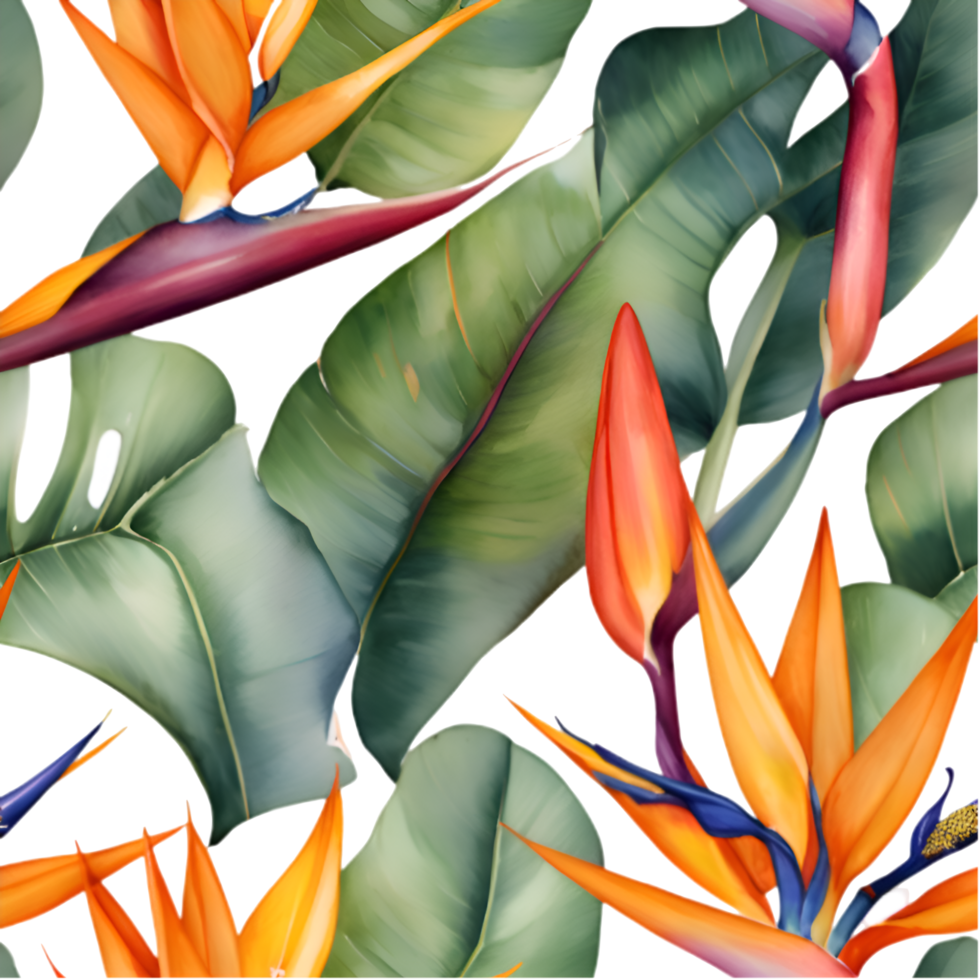 Beautiful Bird of Paradise Floral Design for Home Decor. . png