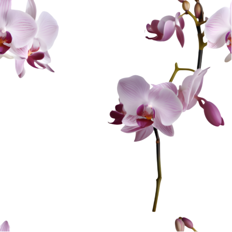 Floral Orchid Flower Pattern with Seamless Clipart Design. . png