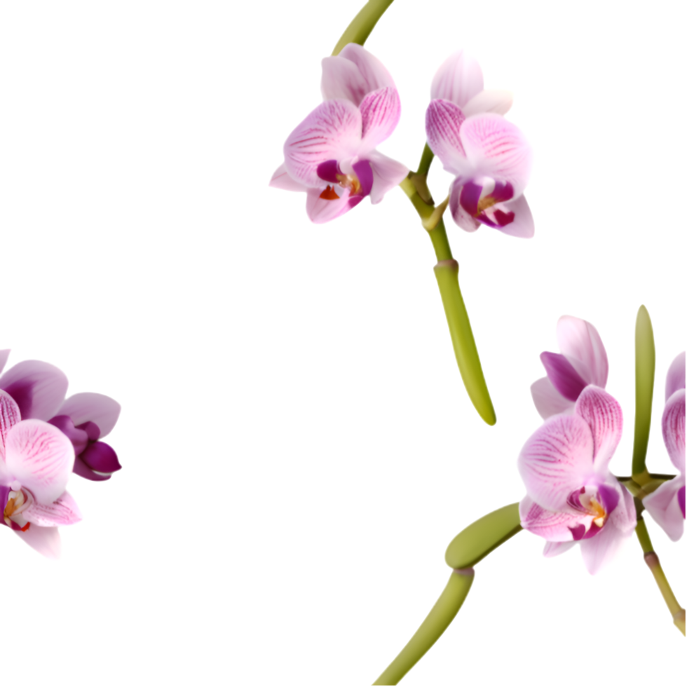 Botanical Orchid Flower Pattern Design for Seamless Art. . png