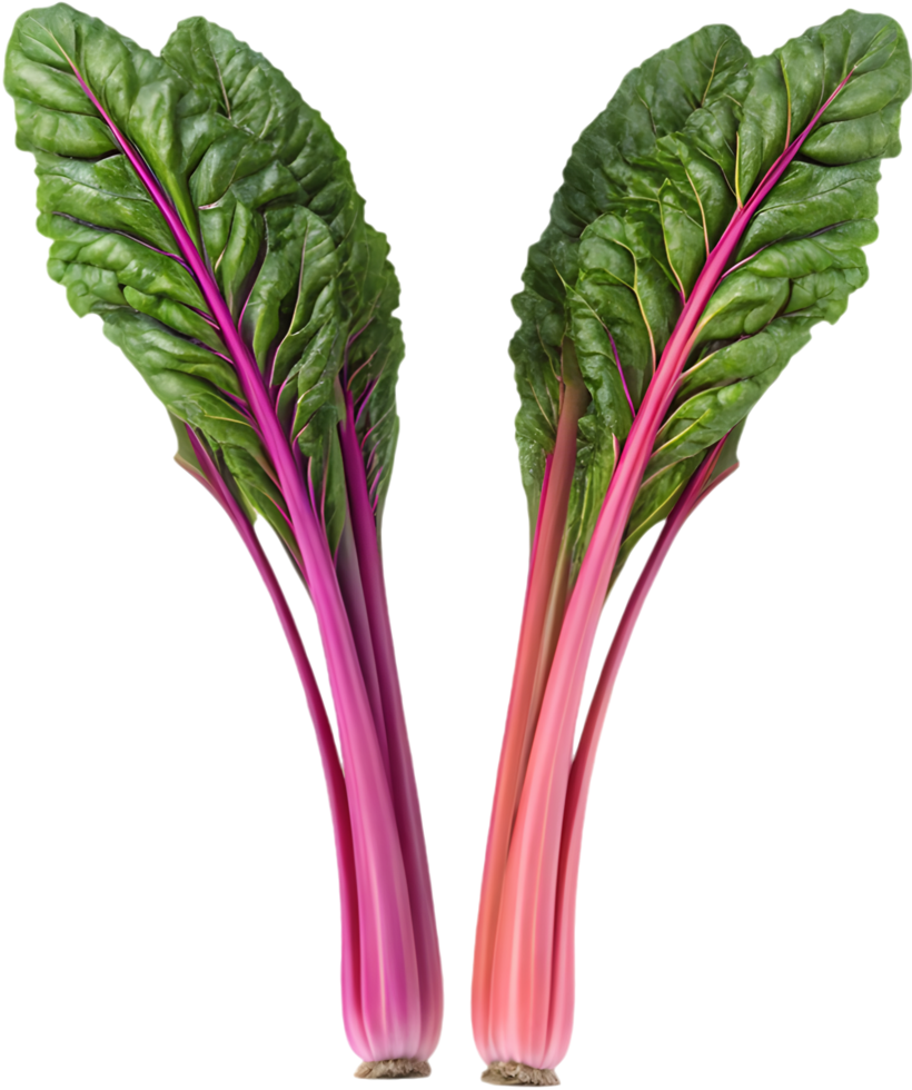 Vibrant Green Swiss Chard Plant Clipart for Culinary Creations. . png
