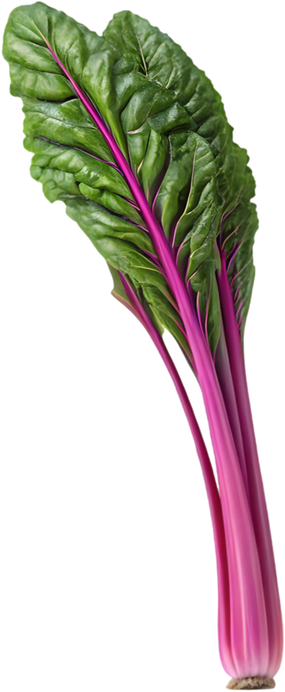 Green Swiss Chard Plant Clipart with Lush Leaves for Garden Use. . png