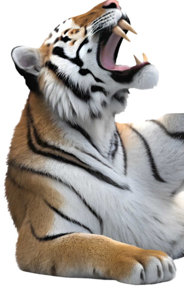 Fierce and aggressive tiger logo artwork for your branding needs. . png