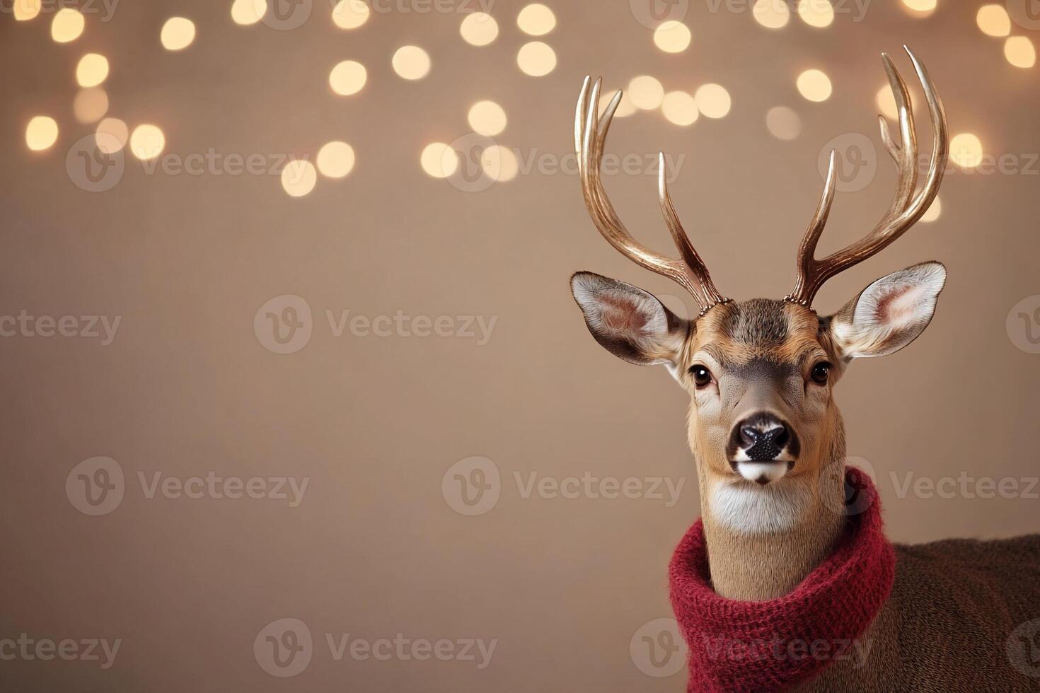 A deer wearing a sweater with festive lights in the background. photo