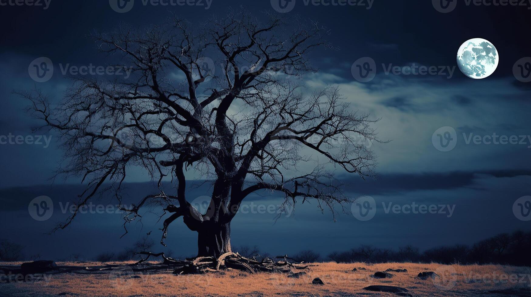 A lone tree in the middle of a field at night photo