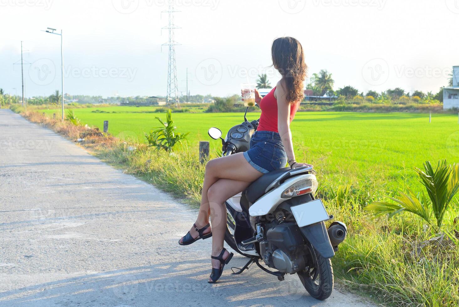 Young woman drives a motorbike among rice fields in Vietnam photo