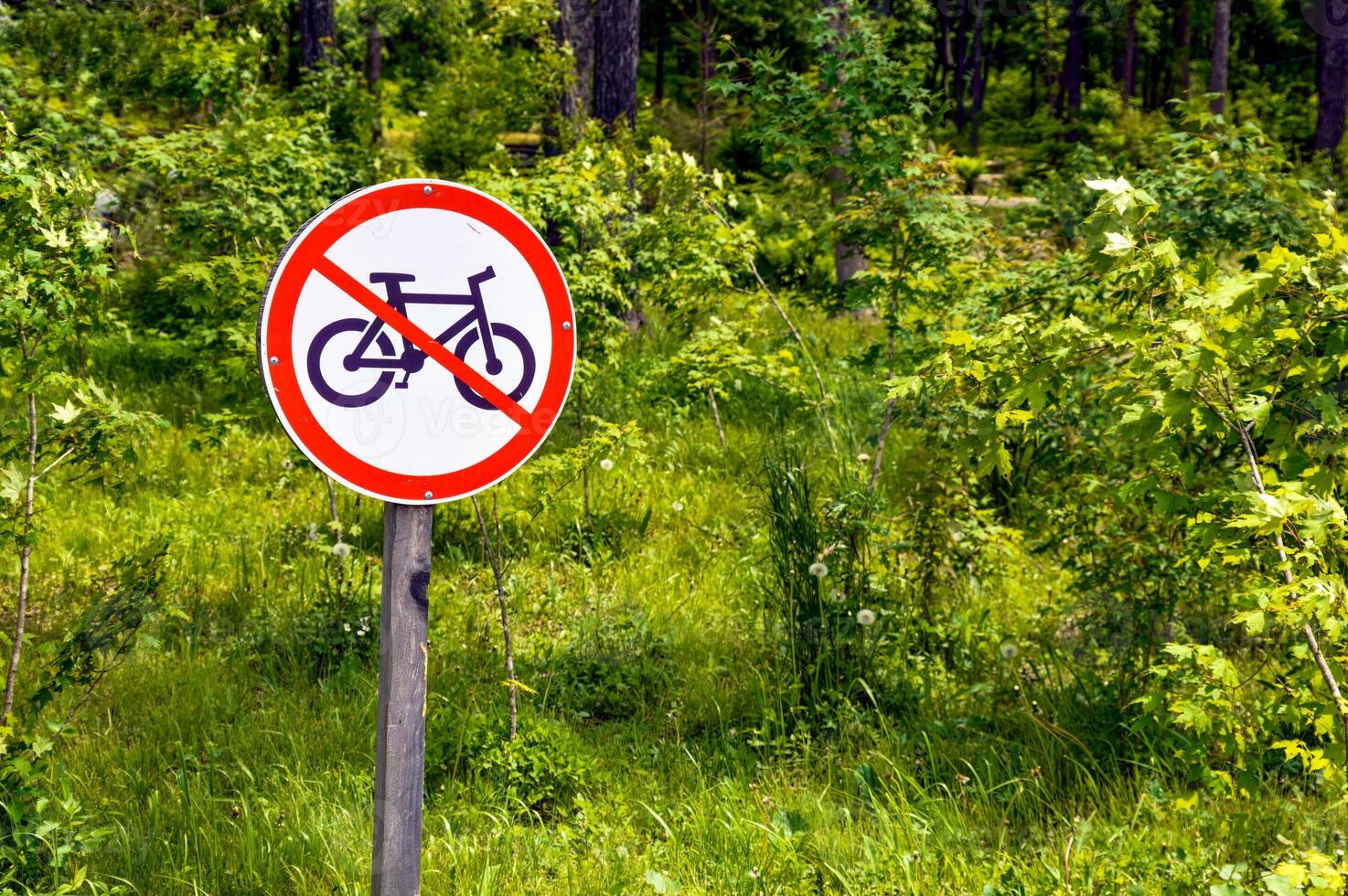 Bicycle prohibition sign on a green trees and grass background in park photo