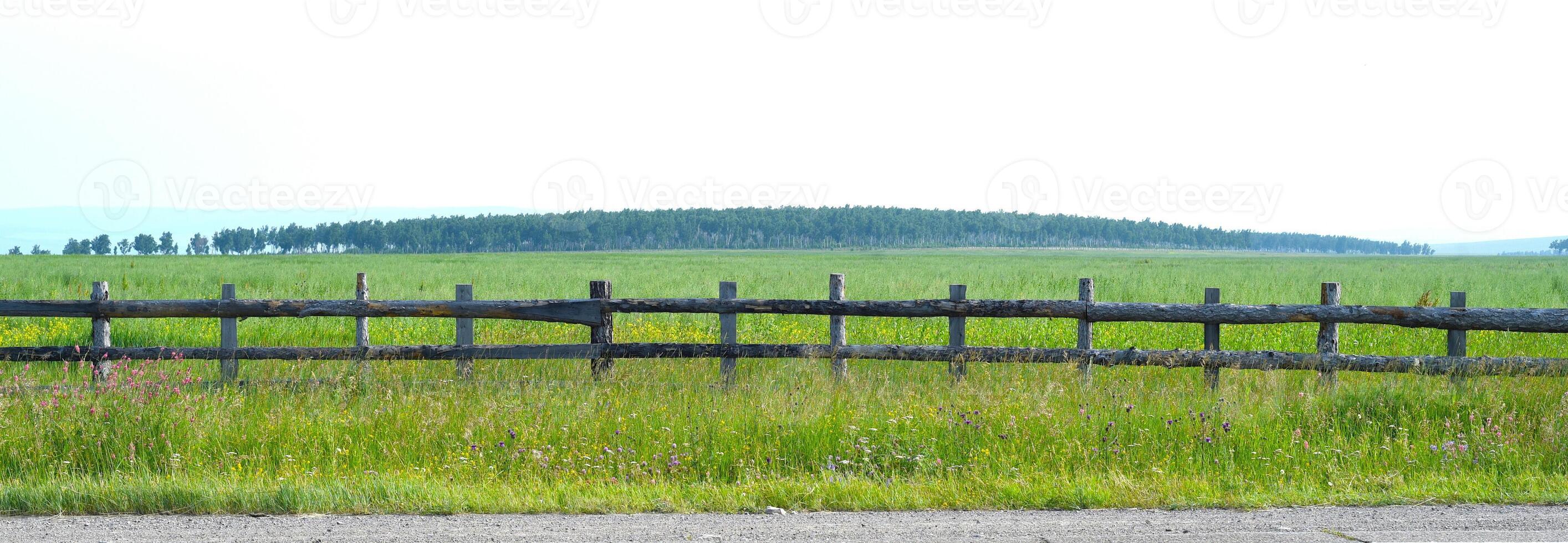 Wooden fence for fencing a territory in Buryatia photo