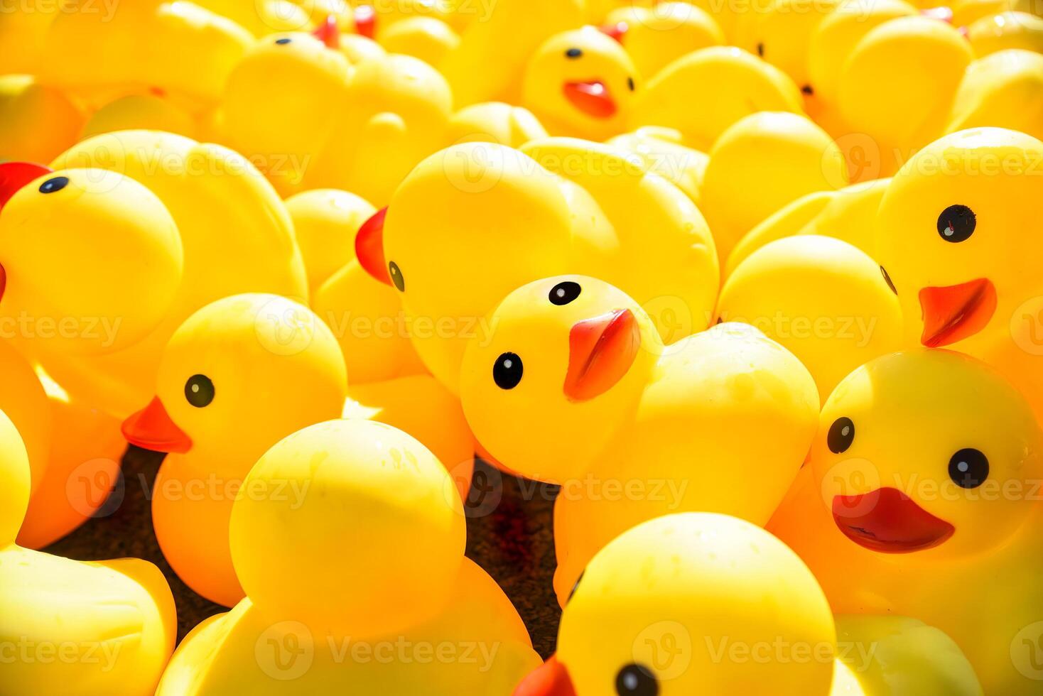 bright yellow rubber ducks floating in the pool photo