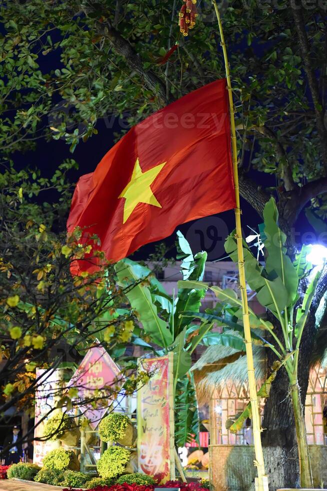 vietnamese national flag on a bamboo branch at night in Vietnam photo