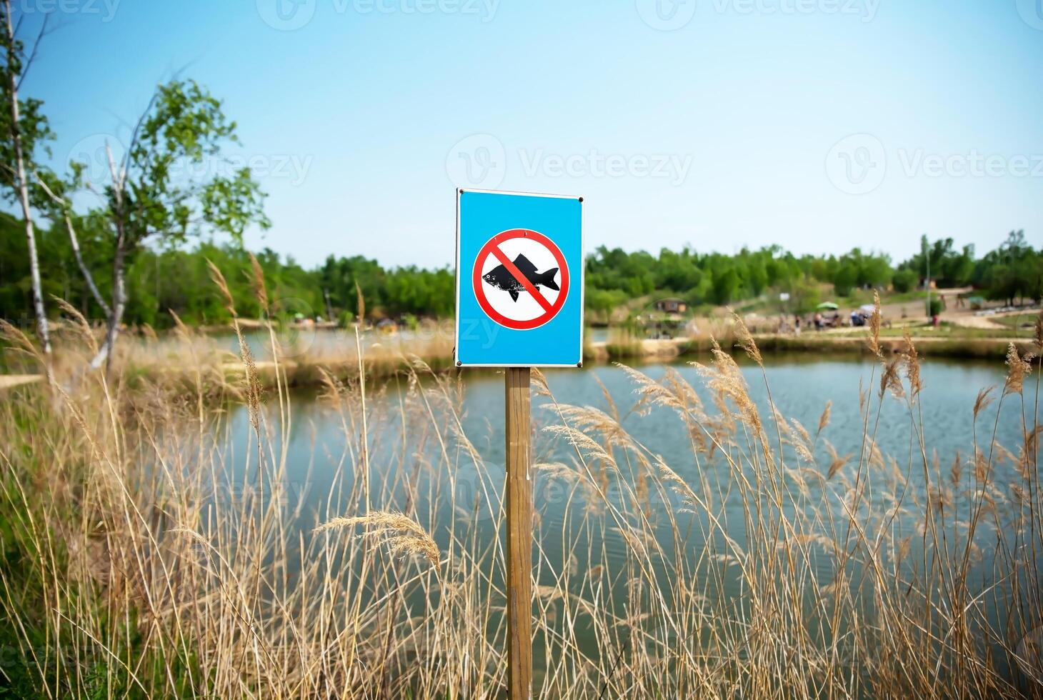Prohibitory sign fishing prohibited against lakes and forest in the park. photo