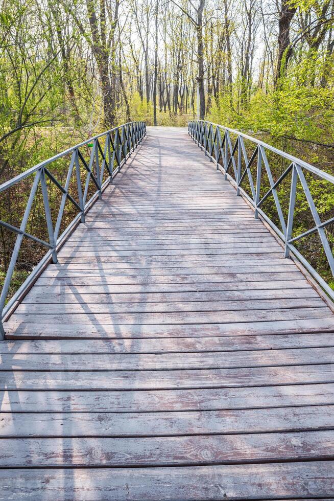 Wooden bridge in the forest without people photo