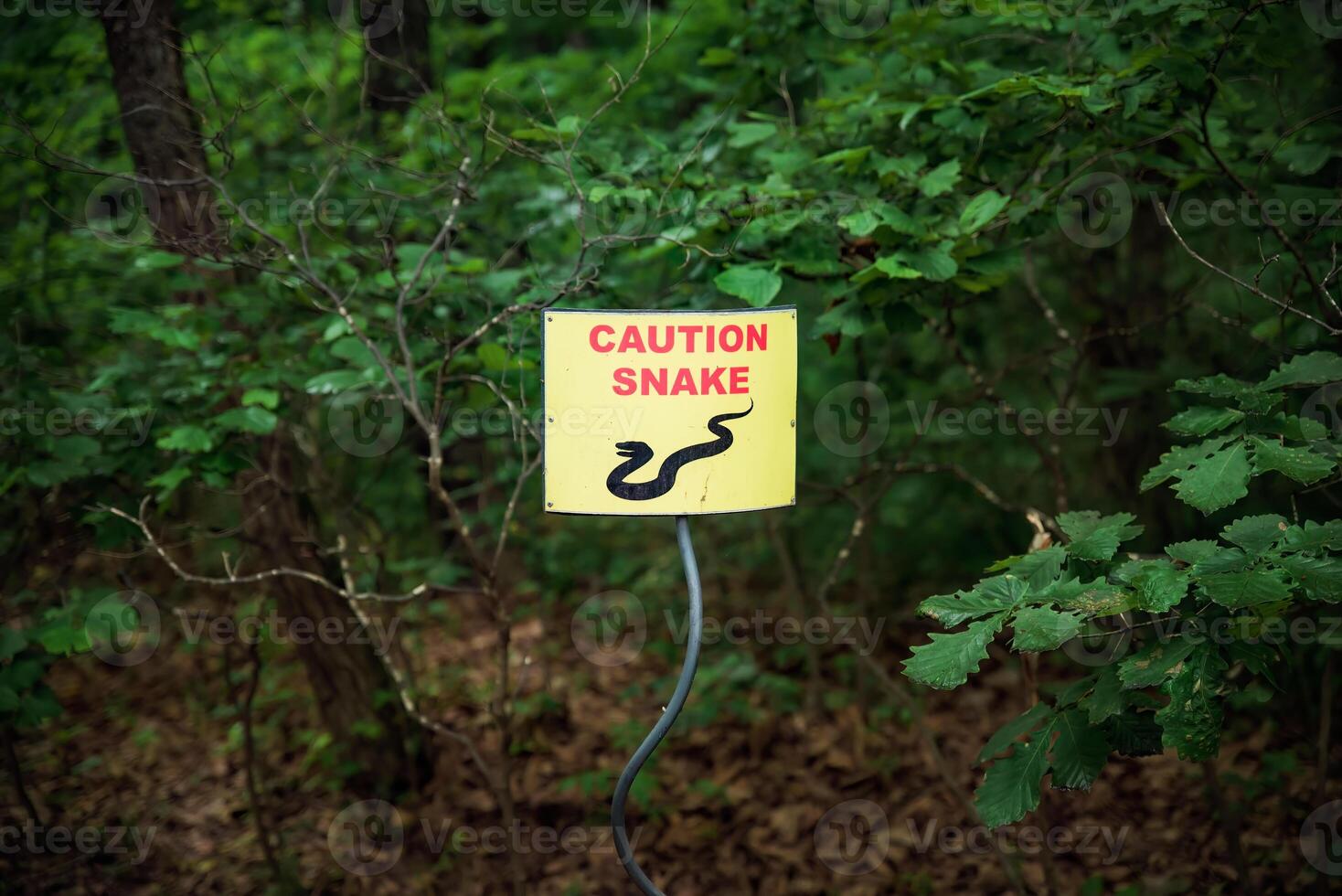 Sign caution snake in the forest photo