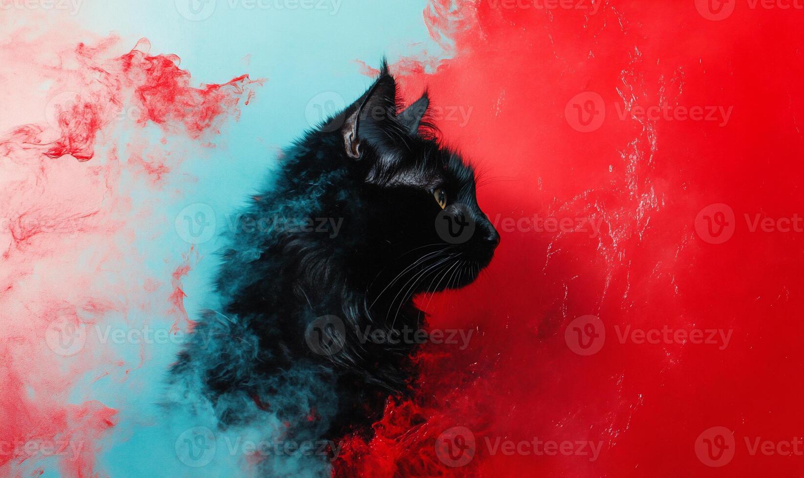 Black cat in vibrant smoke photo