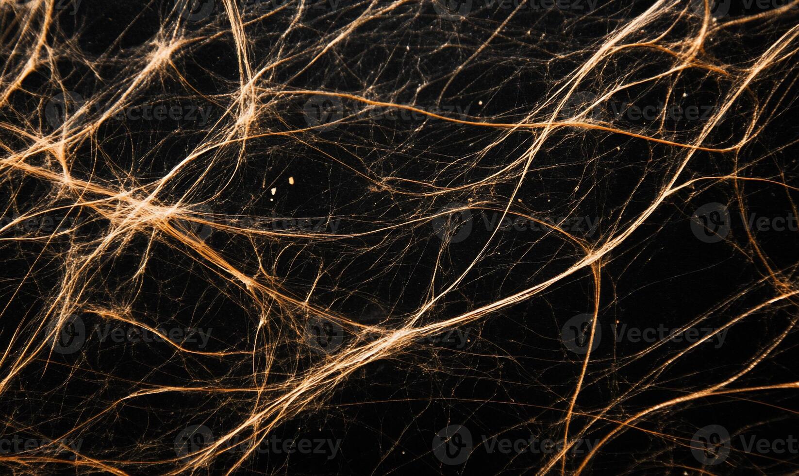 Intricate network of glowing threads against a dark background photo