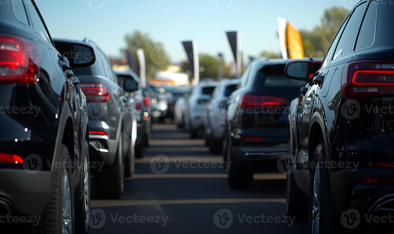 Cars lined up in a long queue photo
