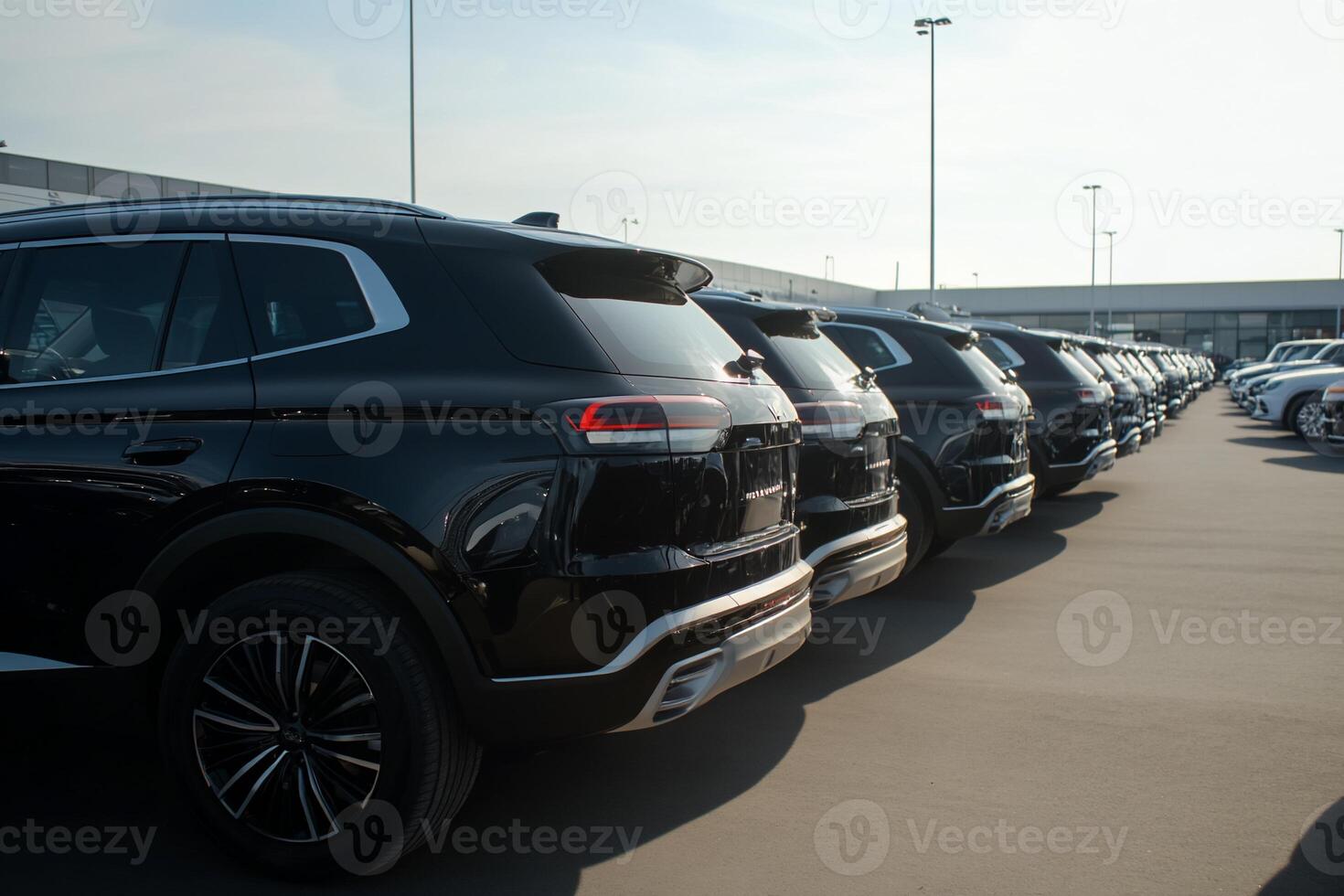 Row of black SUVs photo
