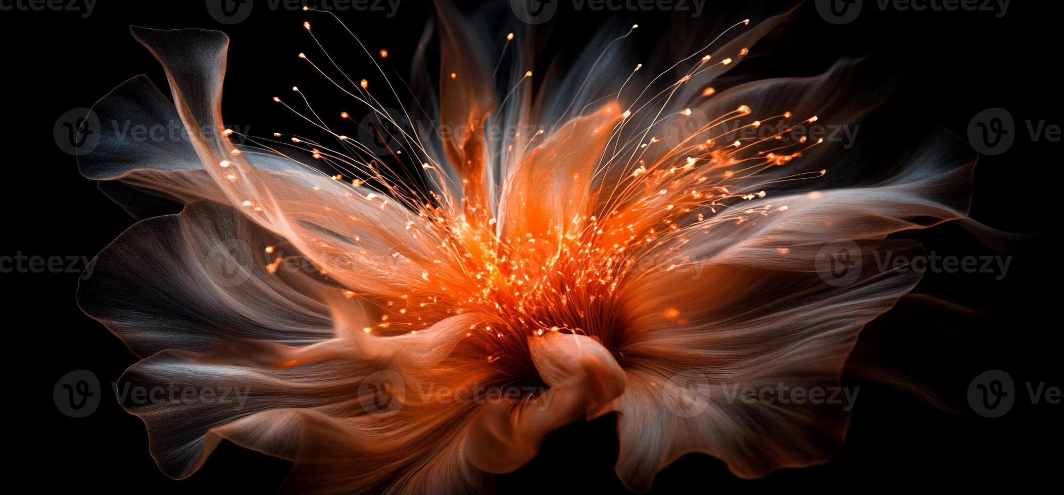 Abstract flower of fire photo