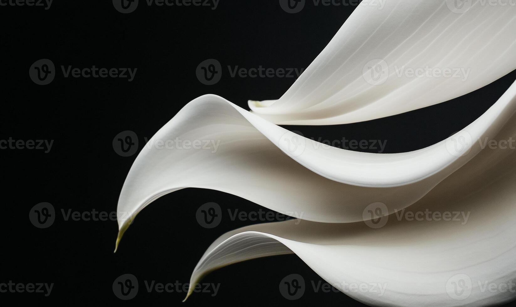 Abstract floral shapes in motion photo