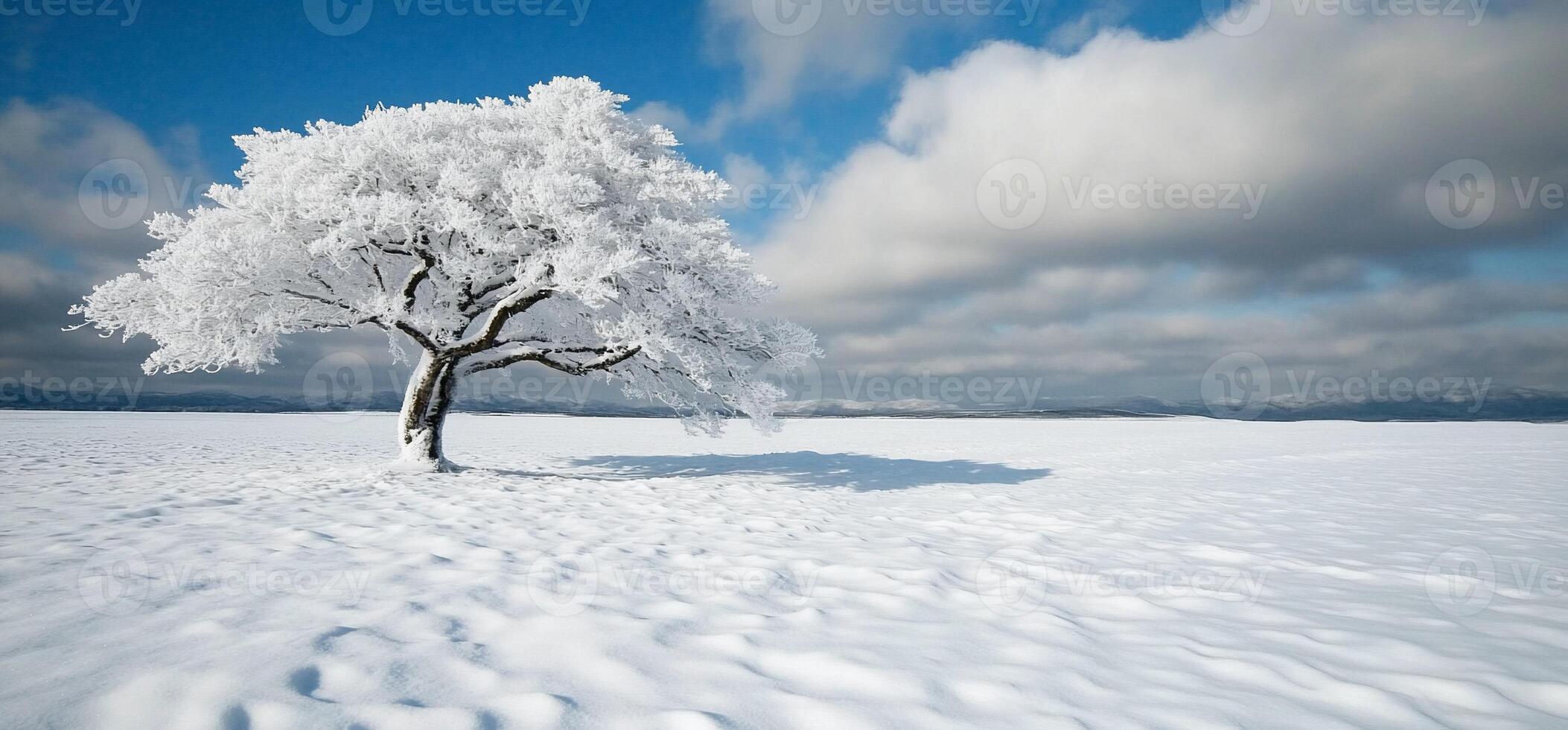 Solitary snow-covered tree in a vast, snowy landscape under a partly cloudy sky photo