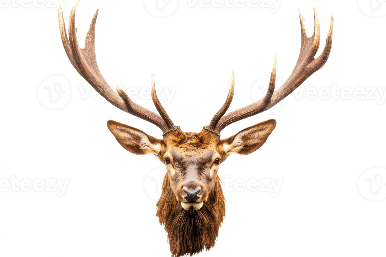 majestic deer with antlers and its appea Dim Haze png