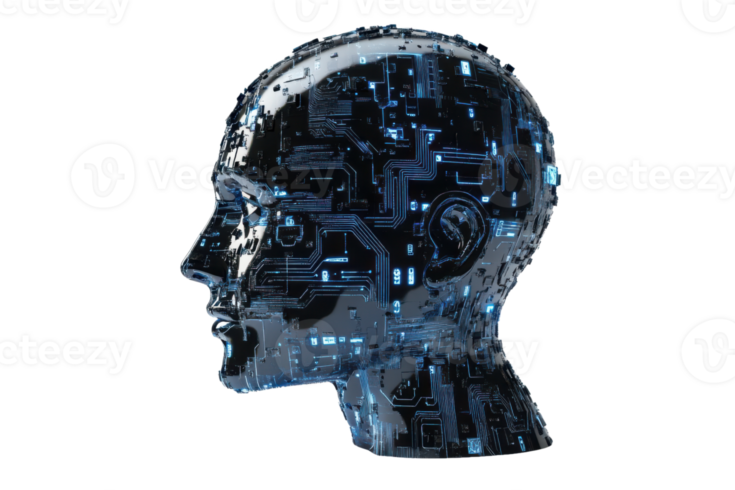 a human head with the brain highlighted png