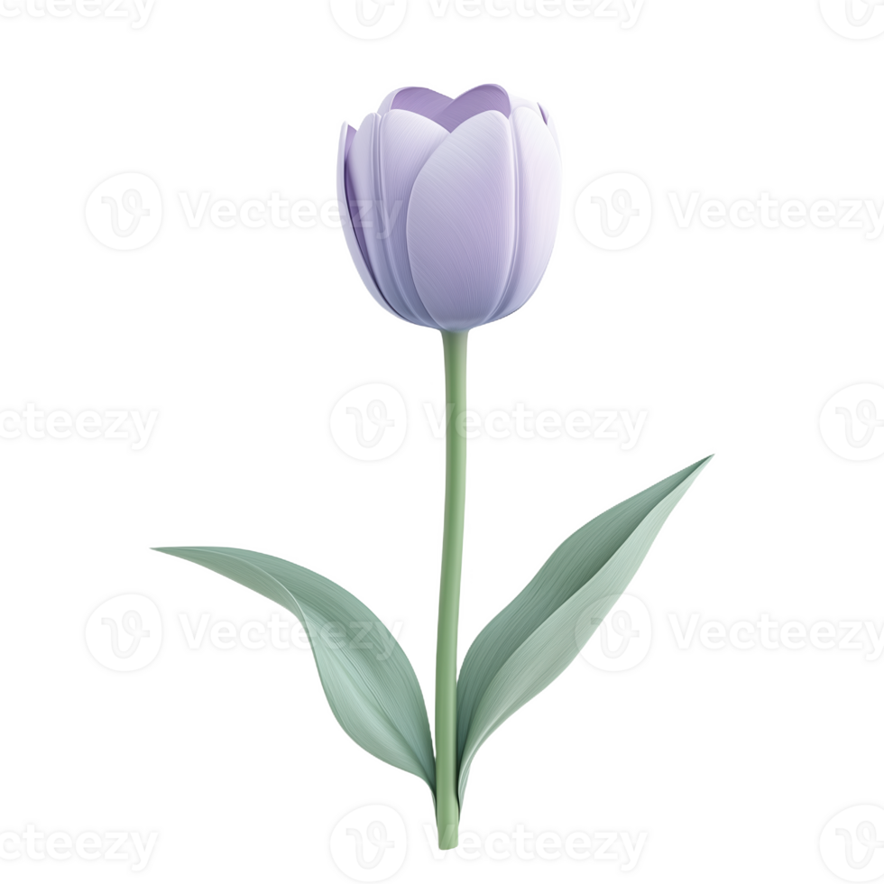 A single pastel colored tulip showcases its smooth delicate petals png