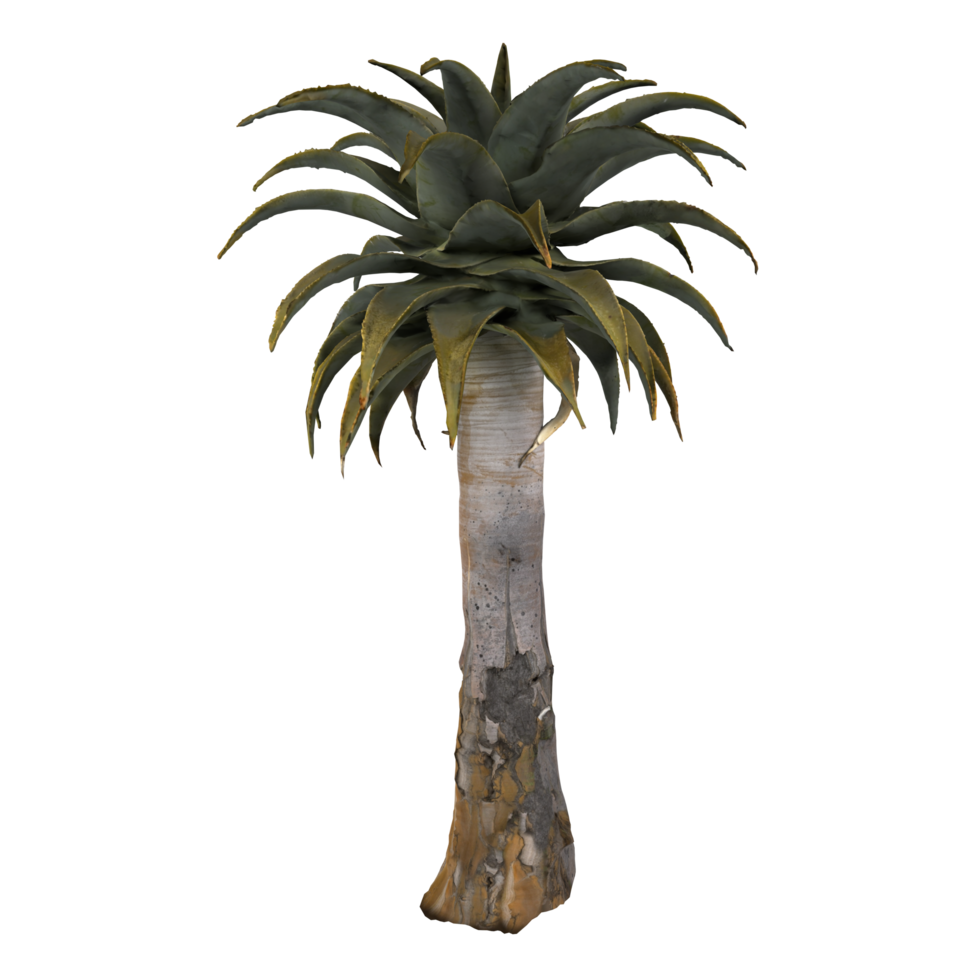 Unique 3D rendering of a botanical sculpture resembling a palm tree png
