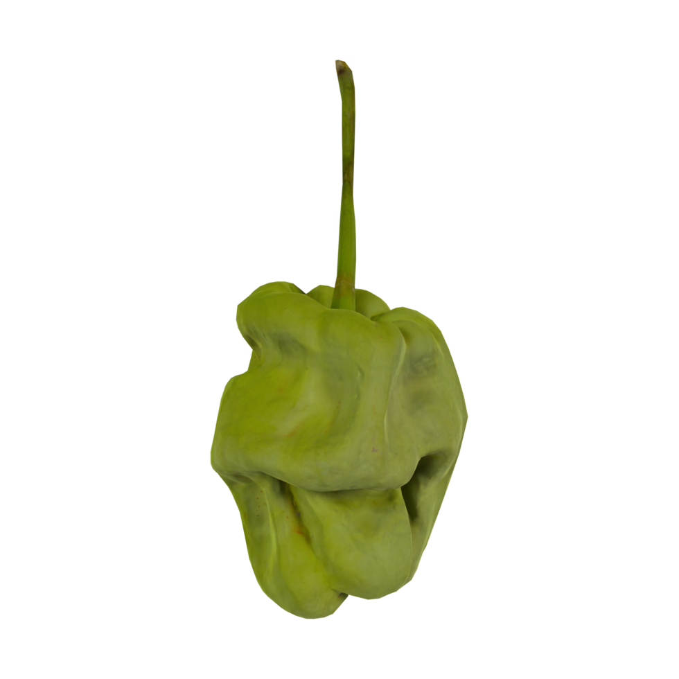 Unique green pepper with a bumpy texture in 3D rendering png