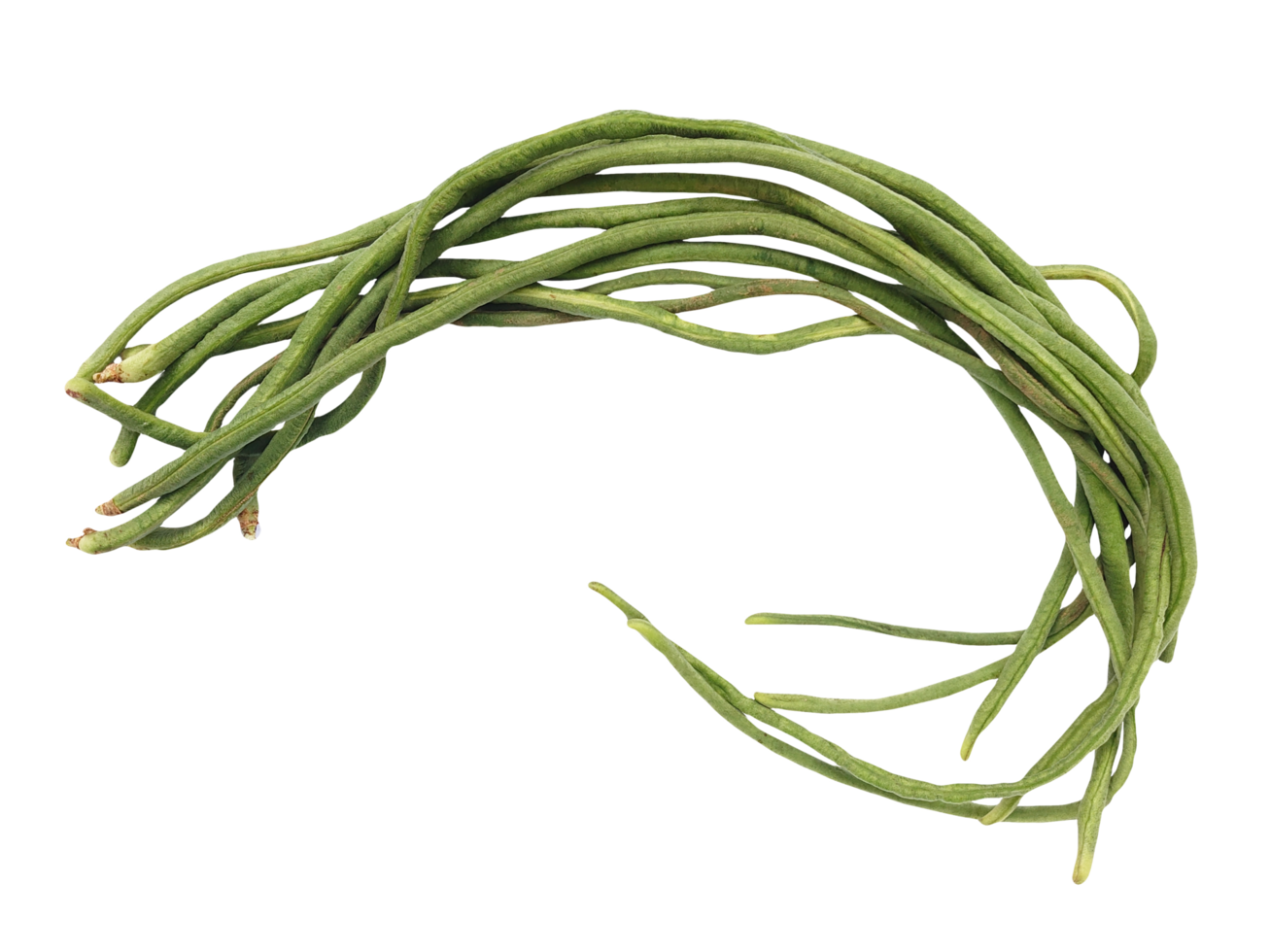 long beans on transparent background png