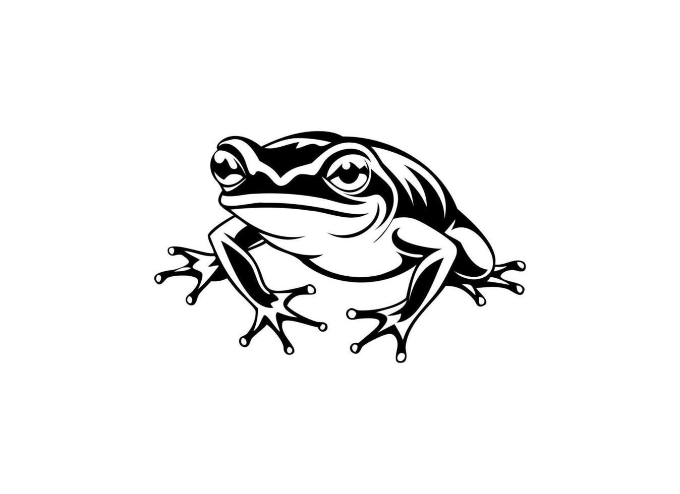 Drawing of Frog - Detailed Amphibian Illustration in Black and White vector