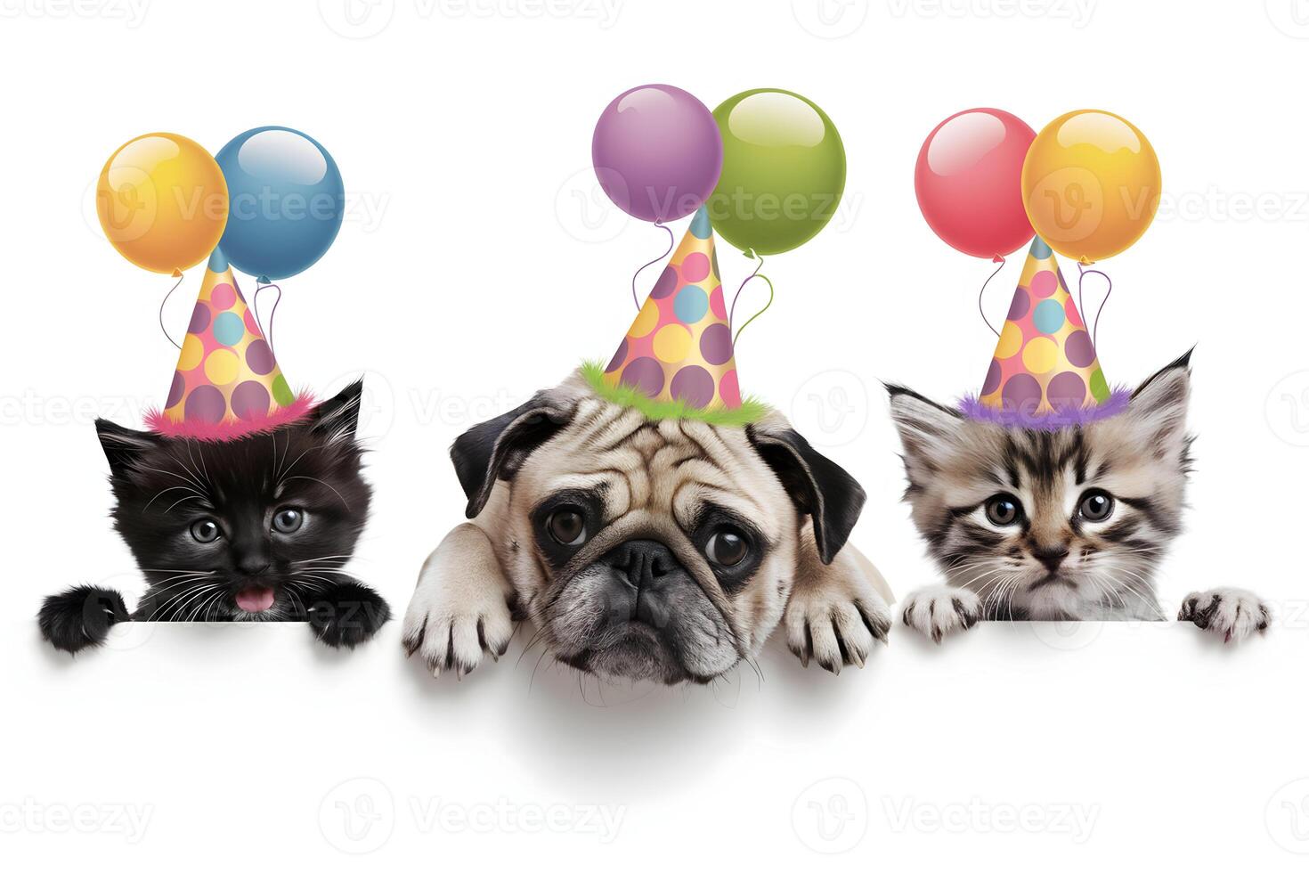 Kittens and pug with festive birthday hats create playful, joyful scene photo