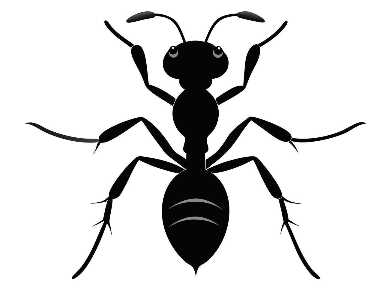 Ant insect silhouette on a white background vector