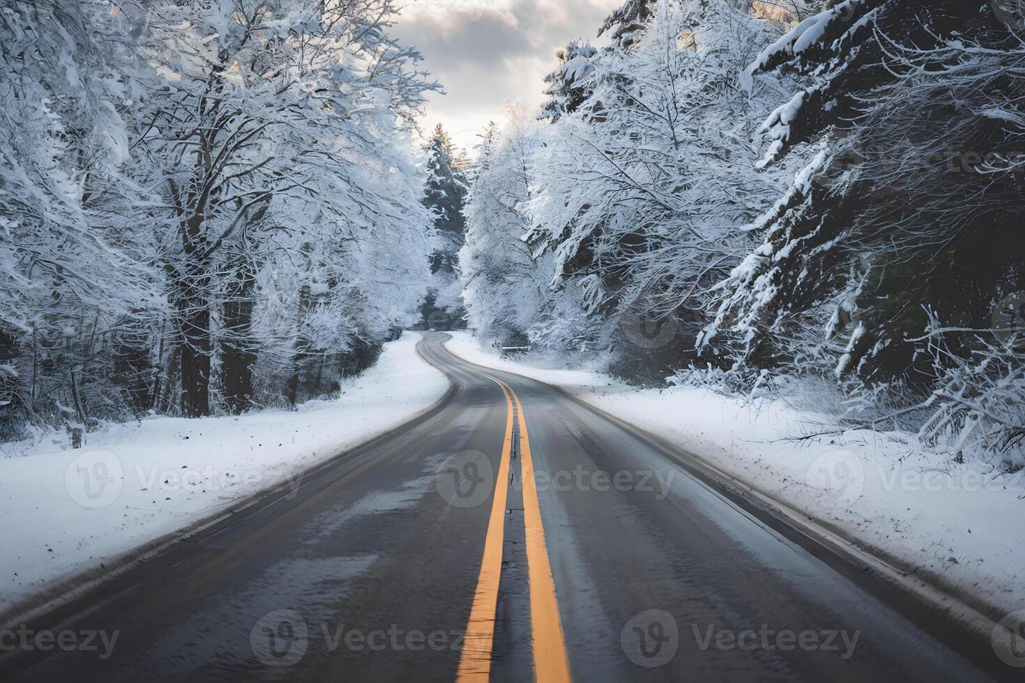 A snowy road winding through a dense winter forest photo