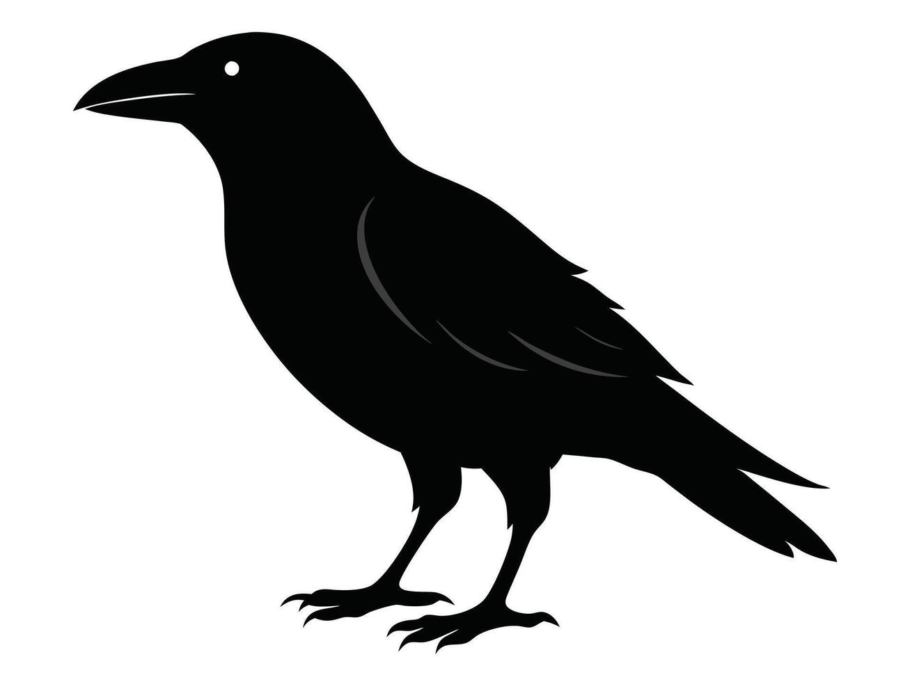 A black crow standing on a white background vector