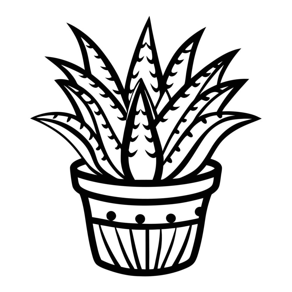 Aloe vera plant in pot black and white succulent design. vector