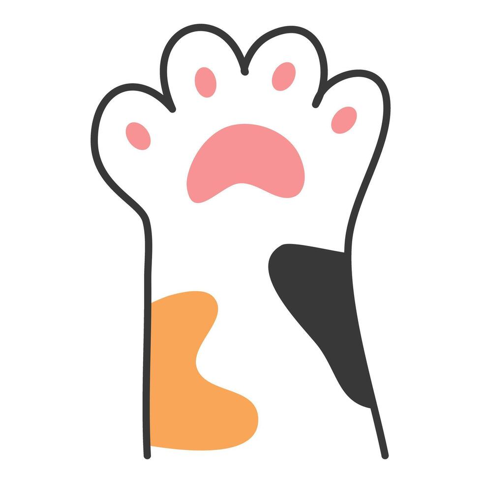 cat paws domestic animal foot illustration vector