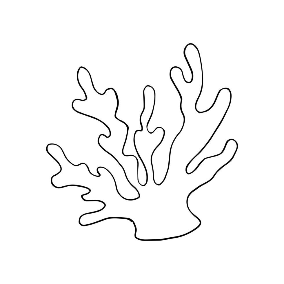 Hand drawn Coral. Sea theme, design element in doodle style. Simple illustration isolated on white. vector