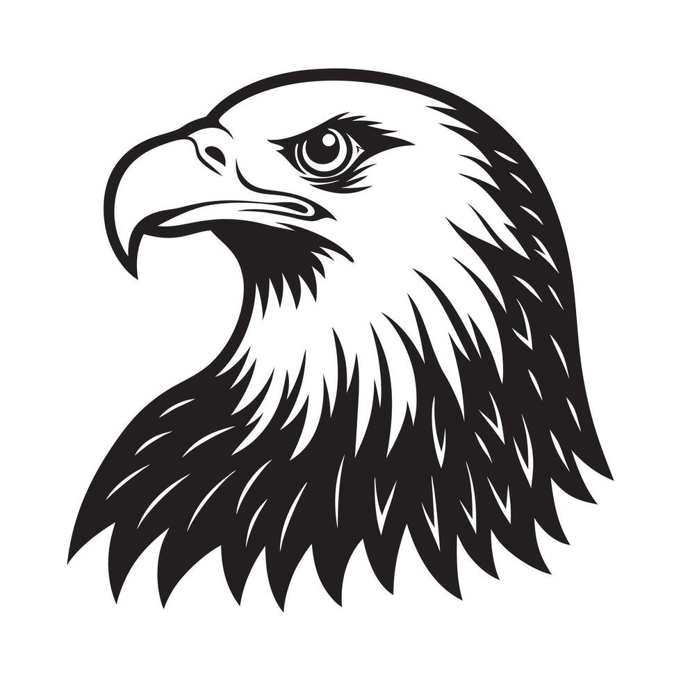 Bald eagle egad majestic Bird wildlife symbol vector