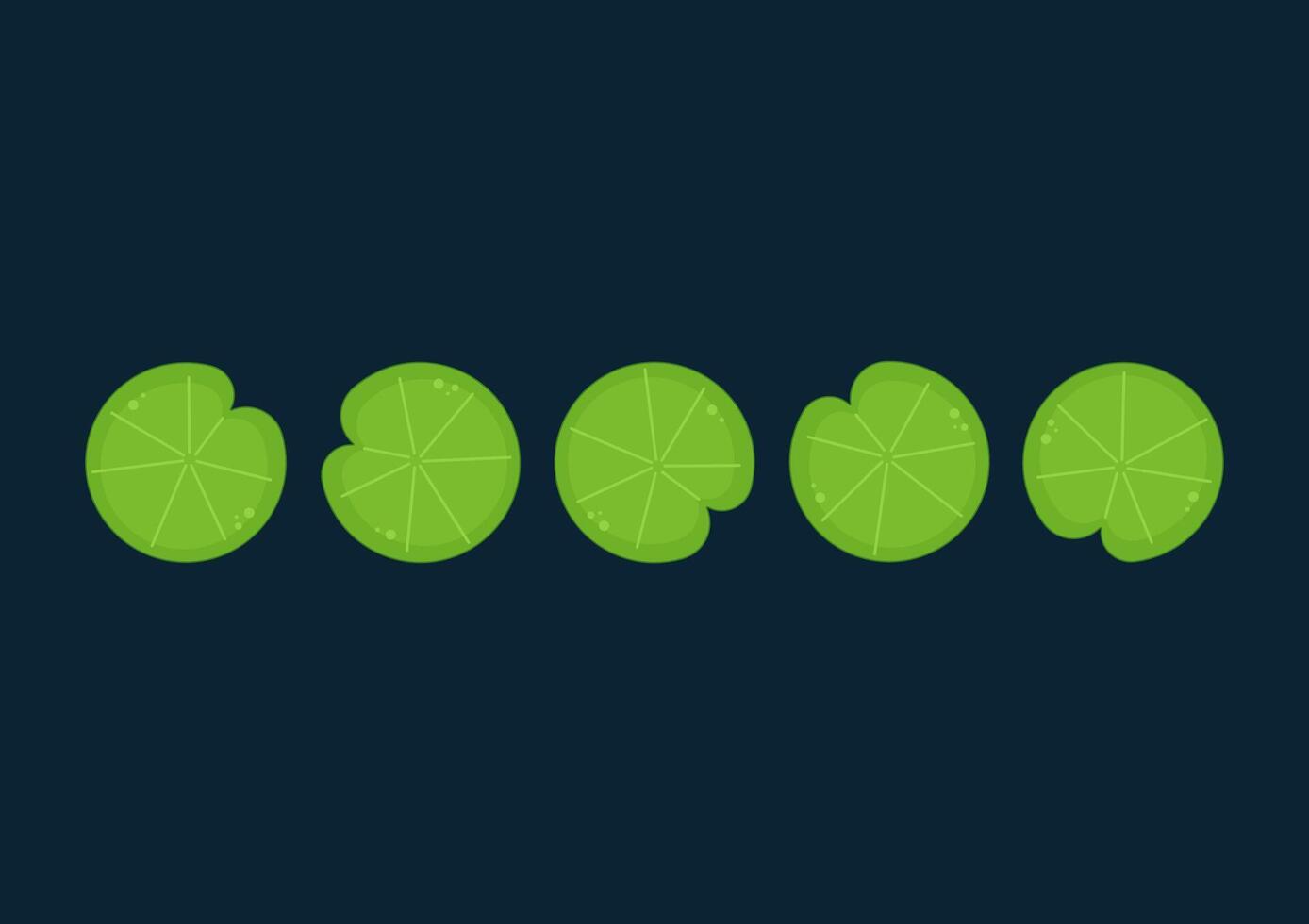 Lily pad pattern. wallpaper. free space for text. background. vector