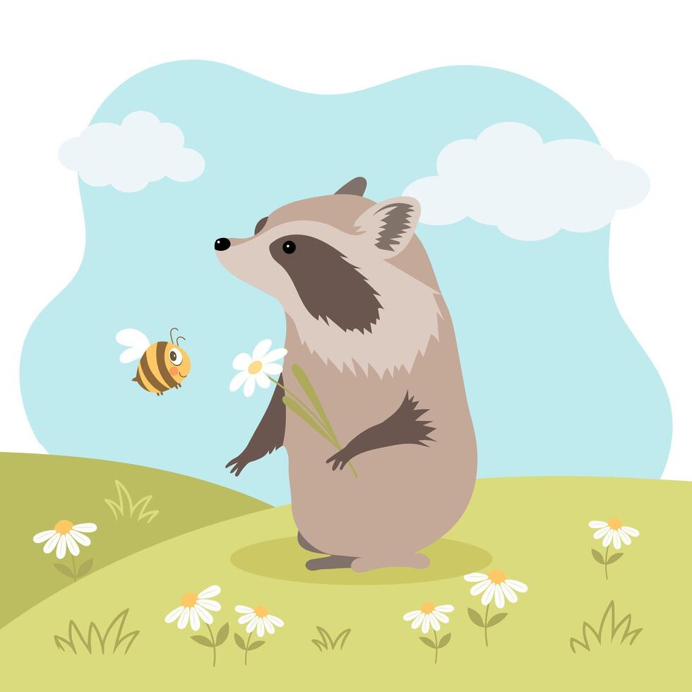 Cute raccoon in a meadow with daisies. Print for children, card, flat illustration vector
