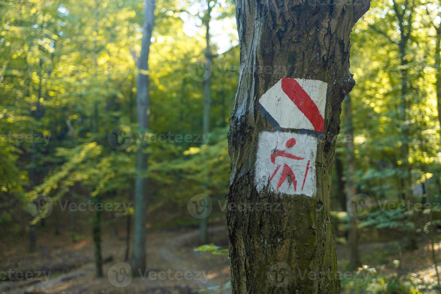 Red sign marking tourist mountain trail, rectangular painted tree mark sign, stripes symbol macro, extreme closeup, front view detail. Red sign signifying the main hiking trail, nobody. photo